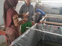 XII APAT SMKN 1 KOTABUNAN  LAKSANAKAN UKK